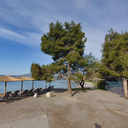 Kalafatis Beach Home Итеа Екстериор снимка